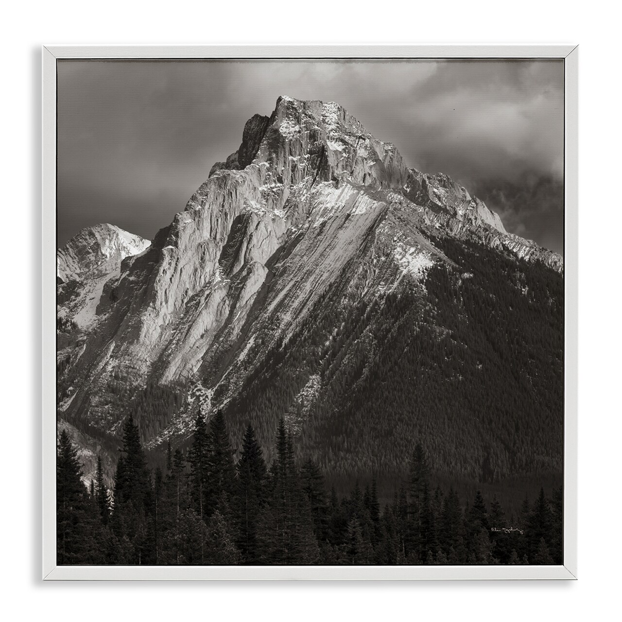 Stupell Industries Canadian Rockies View Framed Giclee Wall Art Design by Alan Majchrowicz
